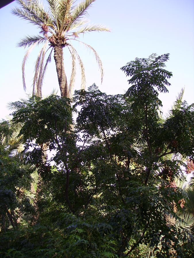 Appart Avec Vue Jardin/Majorelle مراكش المظهر الخارجي الصورة