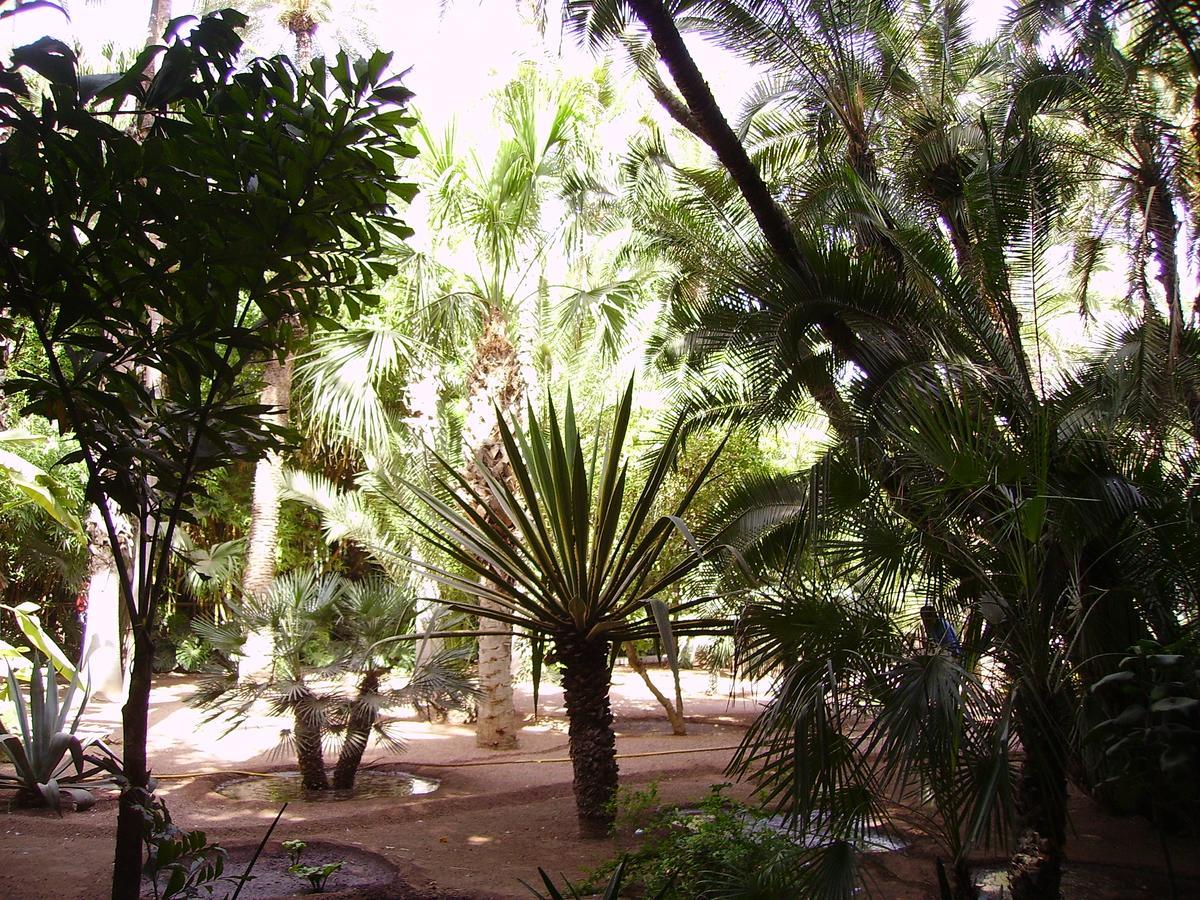 Appart Avec Vue Jardin/Majorelle مراكش المظهر الخارجي الصورة